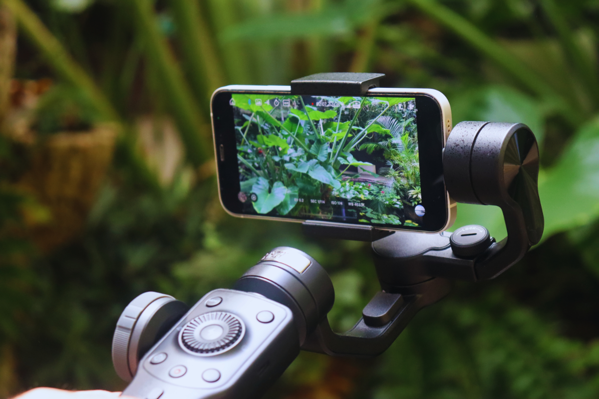 Un smartphone enregistrant une scène de verdure en utilisant un stabilisateur - creator-academy